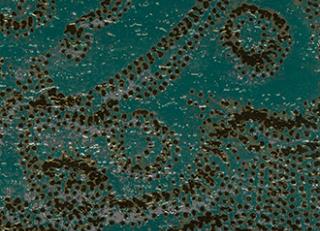 Фото - Обои Elitis Mille millions - 262035>