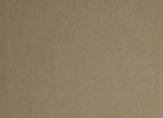 Фото - Ткани Lizzo Livorno - 527248>