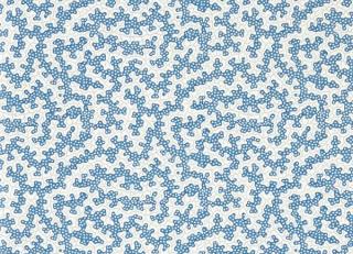 Фото - Обои Sanderson Arboretum - 565766>