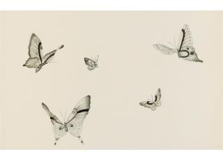 Фото - Обои Fromental 20th century - 318837>