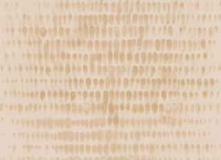 Фото - Обои Caselio Silence - 255328>