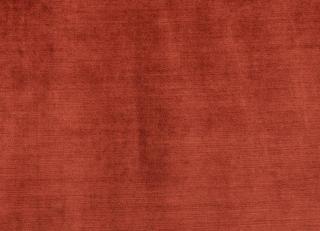 Фото - Ткани Antoine d'Albiousse Velours de Fiacre - 480324>