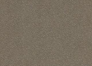 Фото - Обои Ferus Ipanema - 397944>