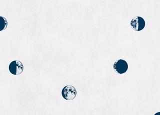 Фото - Обои Coordonne Instant - 580748>