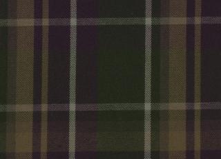 Фото - Ткани Maria Flora Caminetto - 318001>