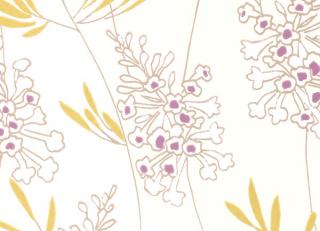 Фото - Обои Clarke&Clarke Wild Garden - 193808>