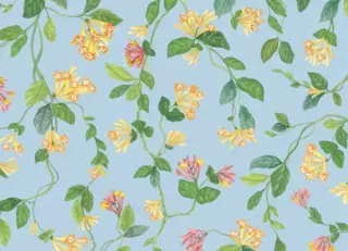 Фото - Обои Cole & Son Selection of Hummingbirds - 626739>