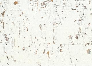 Фото - Обои Elitis Essence de liege - 509461>