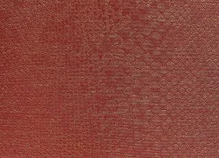 Фото - Обои Epoca Wallcoverings Amazon River - 551540>