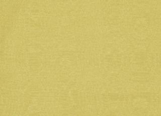 Фото - Ткани Clarke&Clarke Moire - 404052>