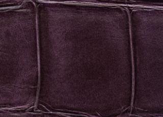 Фото - Обои Elitis Anguille - 257743>