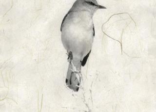 Фото - Аксессуары Momenti Постеры Momenti LAB collection - 347145>