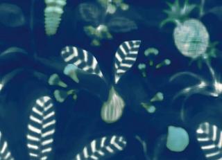 Фото - Обои Nobilis Cosmopolitan 2 - 357791>