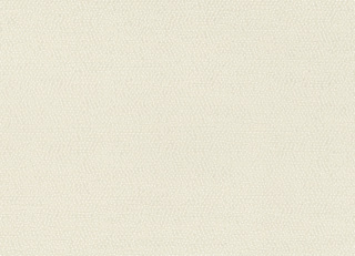 Фото - Ткани Rubelli Sharky - 624110>