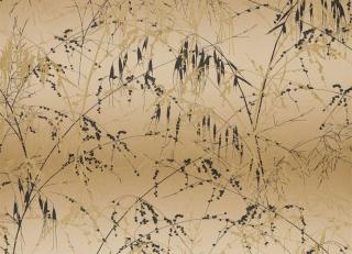 Фото - Персиковые обои на стену - 301315>