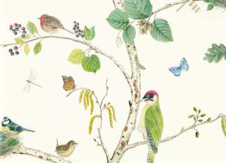 Фото - Обои Sanderson Arboretum - 565757>