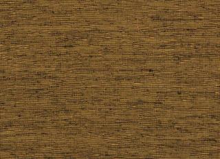 Фото - Обои Pierre Frey Graminees 1 - 312104>