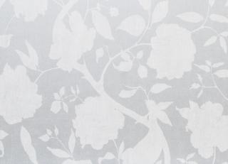 Фото - Обои Equipo DRT Saraceno - 405657>