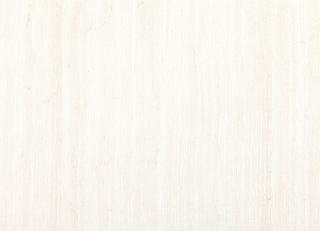 Фото - Ткани Villa Nova Xander - 490170>