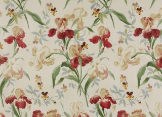 Фото - Ткани Colefax and Fowler Classic Prints I - 258435>