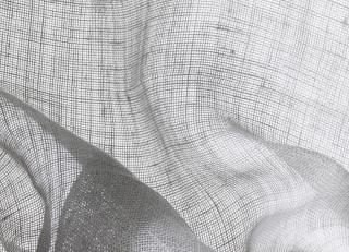 Фото - Ткани Dedar Sheers - 266443>