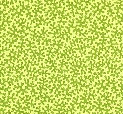 Фото - Ткани Thibaut Laguna - 273670>