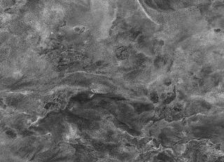 Фото - Обои KT Exclusive Concrete Cire - 429290>