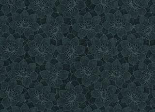 Фото - Обои Equipo DRT Senso - 405103>