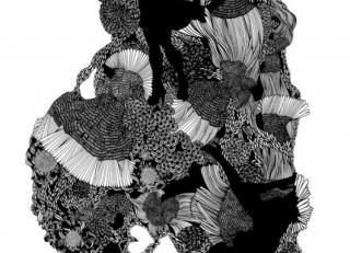 Фото - Обои Mr Perswall Expressions - 234761>