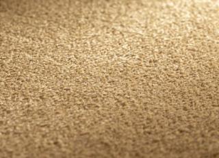 Фото - Ковры JAB Anstoetz Infinity - 574178>