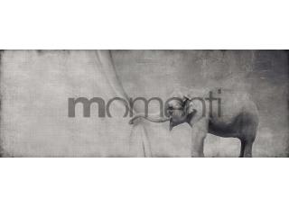 Фото - Обои Momenti Animal Collection - 317657>