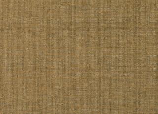 Фото - Ткани Black Edition Inachi - 456244>