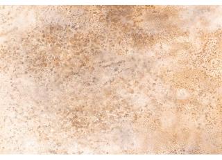 Фото - Обои Emil&Hugo Moana - 572999>