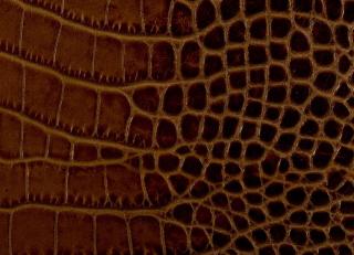 Фото - Аксессуары для интерьера Pavoni - 588793>