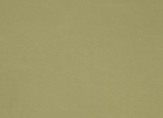 Фото - Ткани Designers Guild Cara - 271969>