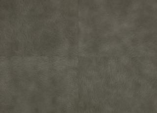 Фото - Обои Mark Alexander - 541448>