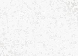 Фото - Обои Kenneth James Essence - 358504>