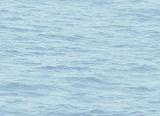 Фото - Обои Paper & Ink Navy Grey and White - 463401>