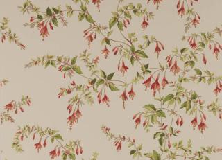 Фото - Обои Colefax and Fowler - 570382>