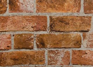 Фото - Голландские флизелиновые обои - 202226>