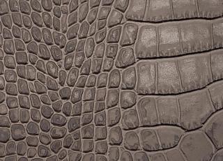 Фото - Аксессуары для интерьера Pavoni - 588802>