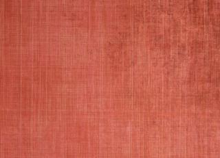 Фото - Обои Nobilis Murate - 616905>