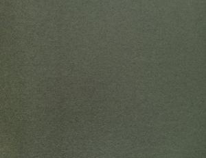 Фото - Ткани Lizzo Scotland - 503092>