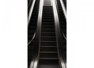 Фото - Обои Koziel Perspectives (Velvet) - 324174>