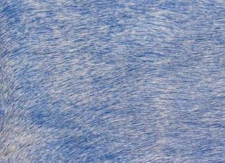 Фото - Аксессуары Pavoni Кожа Vitellina Pelo - 589038>