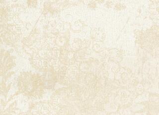 Фото - Обои Rubelli Eliodoro wall - 623519>