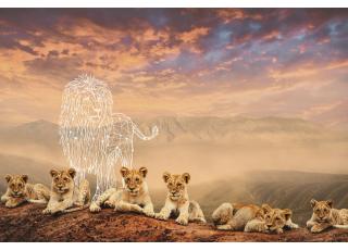 Фото - Обои Ortograf Mirage - 477156>