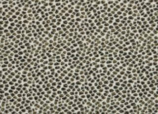 Фото - Ткани Misia La Peche aux eponges - 467052>