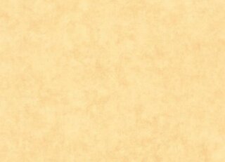 Фото - Обои Caselio Beton 2 - 631912>