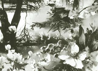 Фото - Обои Jean Paul Gaultier Les Papiers - 381153>